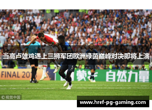 当高卢雄鸡遇上三狮军团欧洲绿茵巅峰对决即将上演 当高卢雄鸡遇上三狮军团欧洲绿茵巅峰对决即将上演