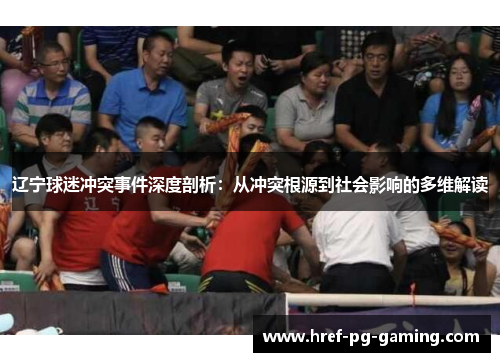 辽宁球迷冲突事件深度剖析：从冲突根源到社会影响的多维解读