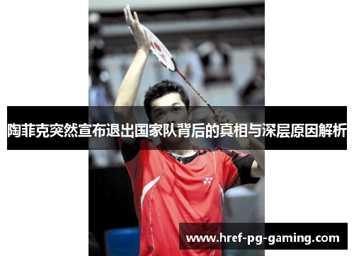 陶菲克突然宣布退出国家队背后的真相与深层原因解析