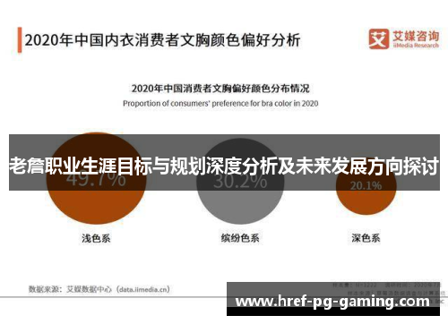 老詹职业生涯目标与规划深度分析及未来发展方向探讨