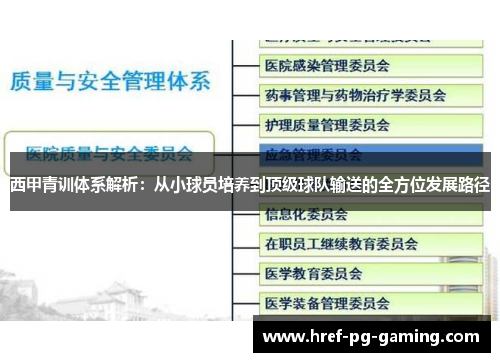 西甲青训体系解析：从小球员培养到顶级球队输送的全方位发展路径