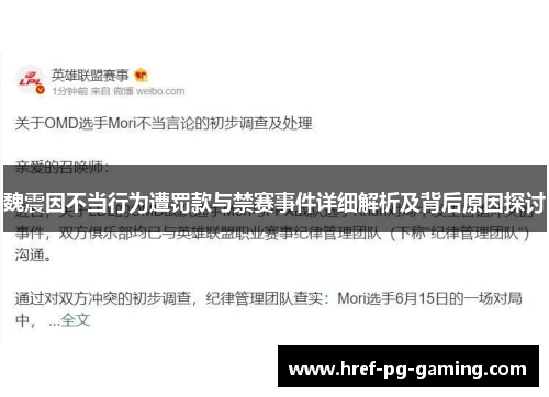 魏震因不当行为遭罚款与禁赛事件详细解析及背后原因探讨